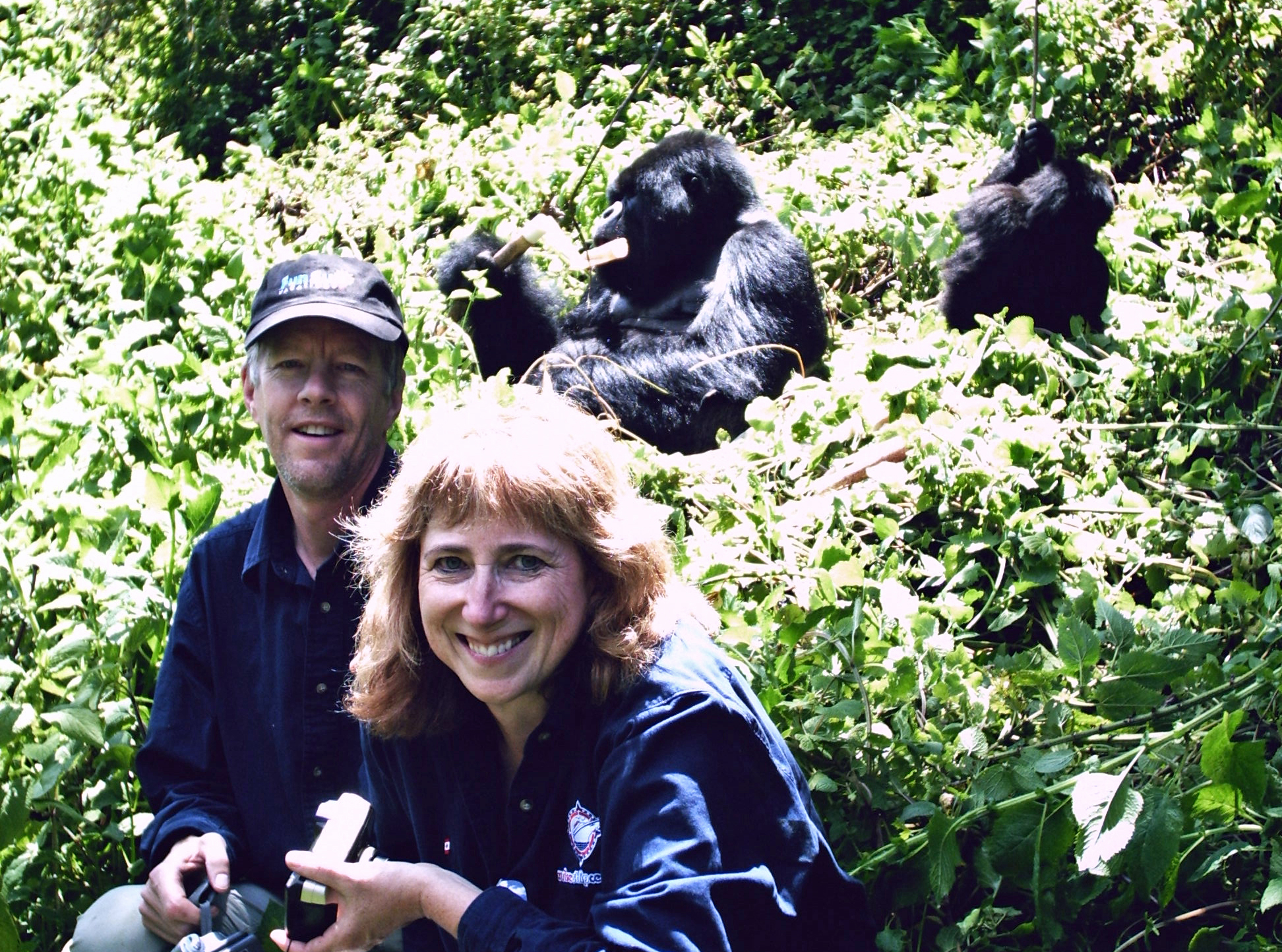 Randy Borger, Judy Miller & Gorillas in Rwanda