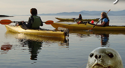 Sunset Kayak